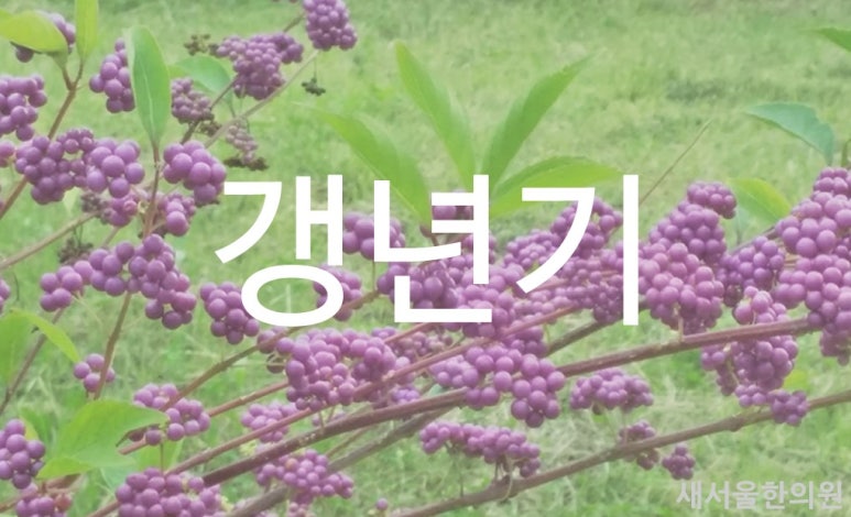갱년기 폐경기 치료