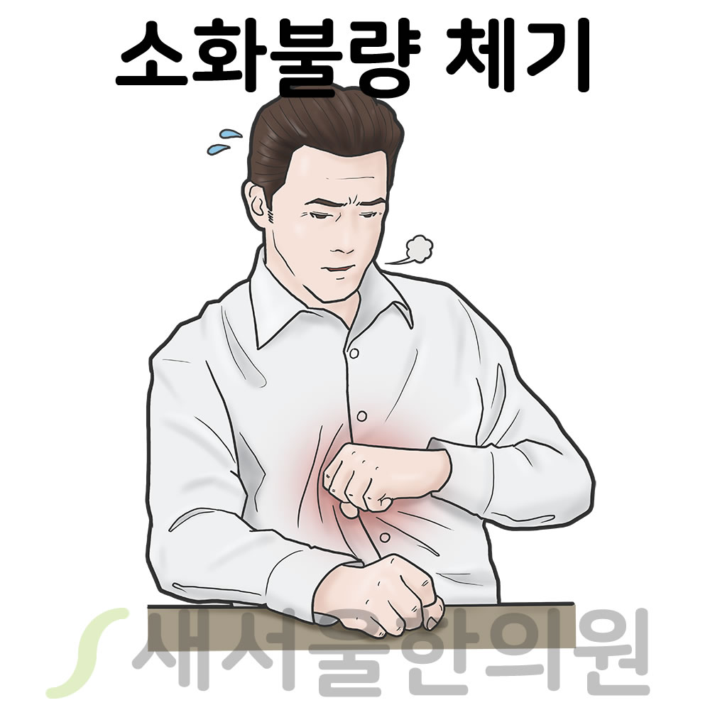 식체 쳇기 소화불량의 치료