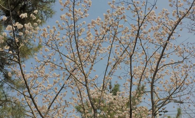 생리통 생리불순