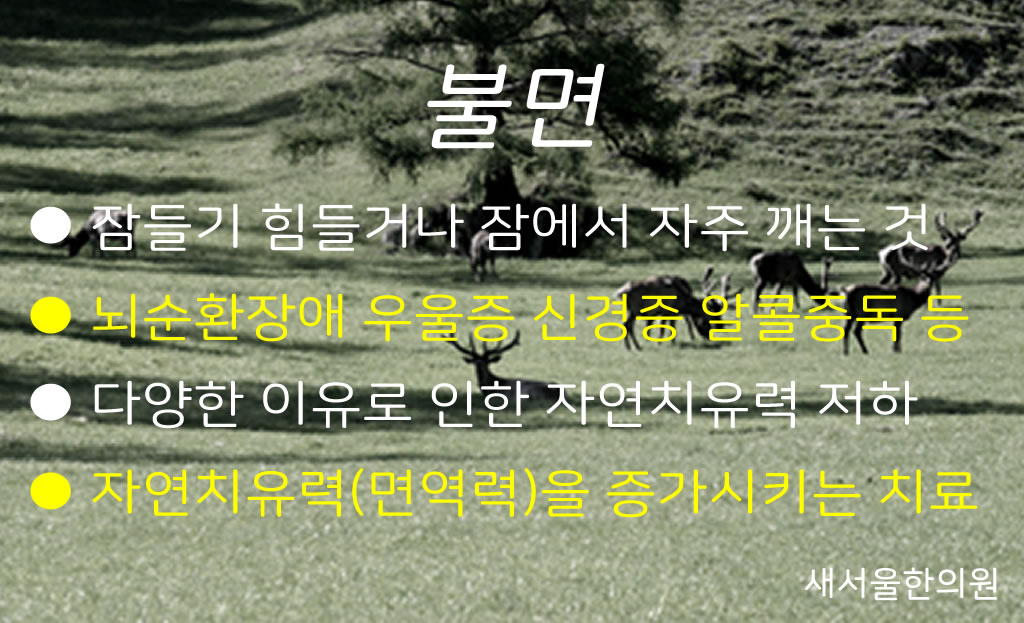 Insomnia 불면증