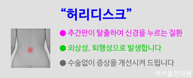 요추디스크 허리디스크 요추추간판탈출증