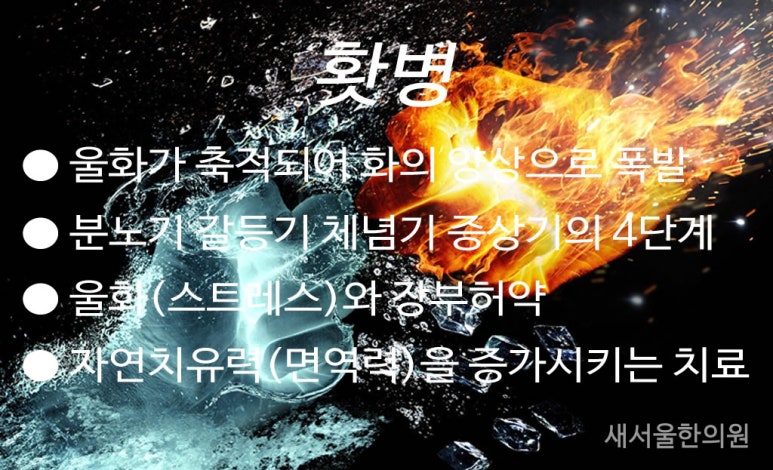 홧병 화병