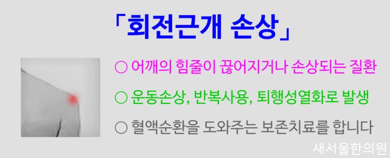 회전근개손상 견통 견관절통 어깨통증