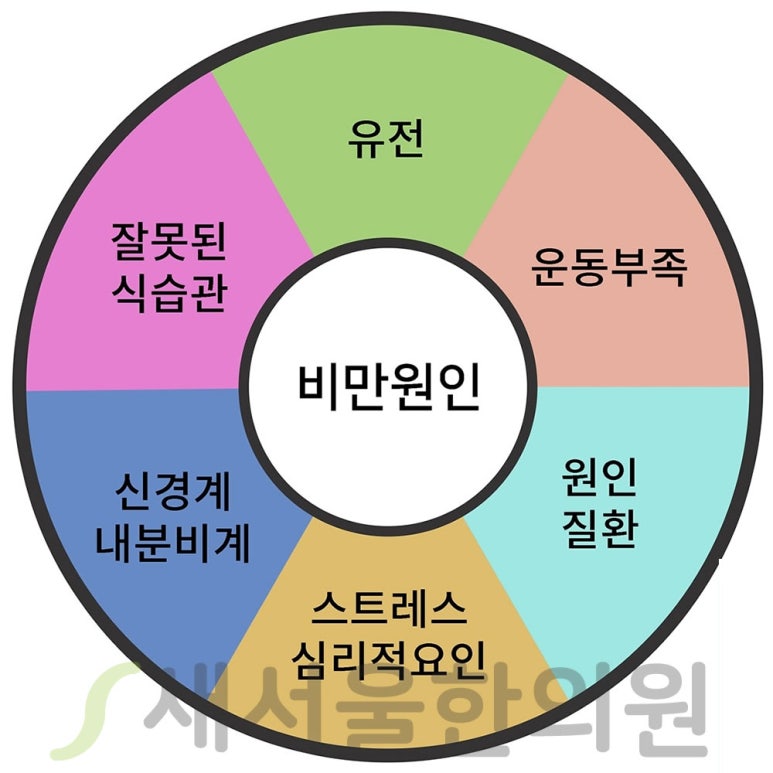 다이어트 비만 Obesity