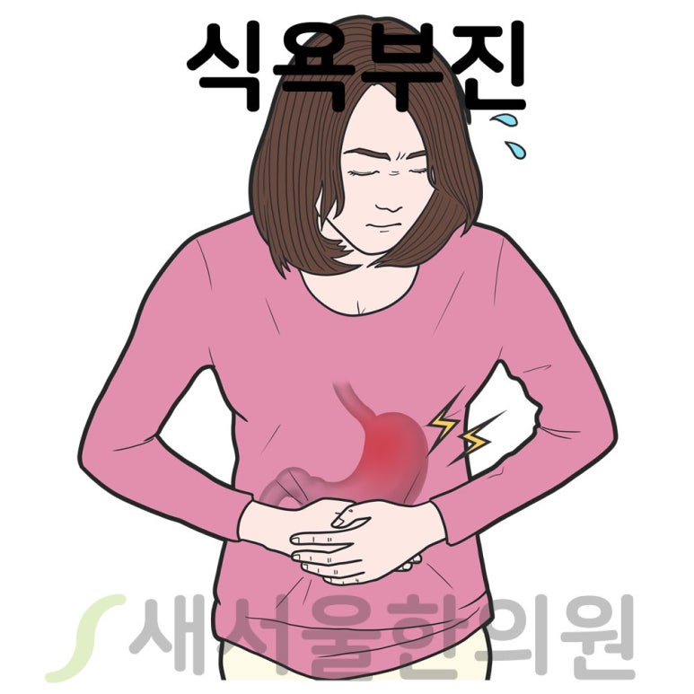 식욕부진 식무미